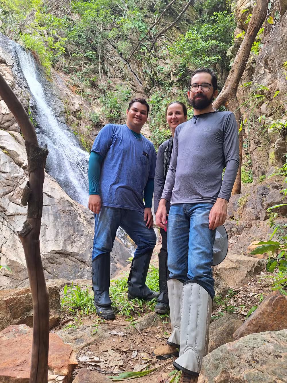 Pavonia neuropetala: flor rara sobreviveu à queimadas em Mato Grosso