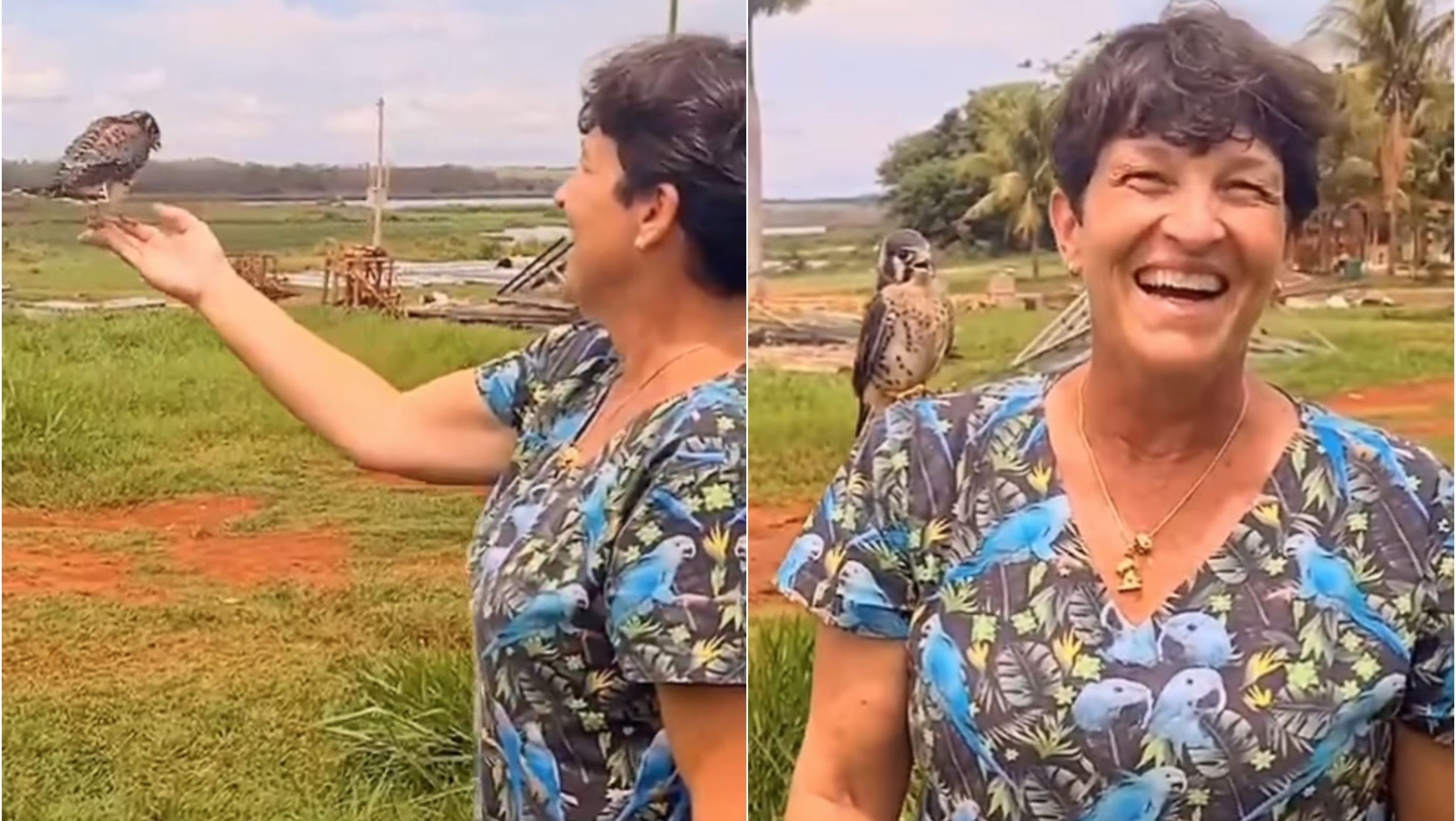 Condensação, infiltração ou capilaridade? Descubra qual é o tipo de umidade da sua casa antes de gastar dinheiro com reforma