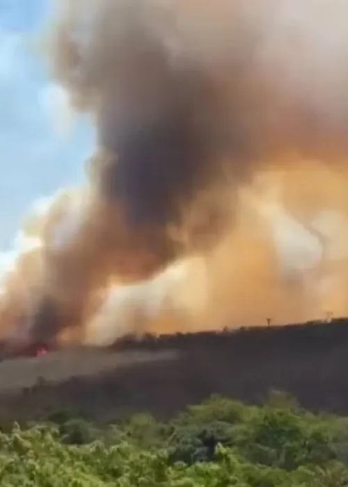 Incêndio de grandes proporções atinge área de vegetação na Bahia