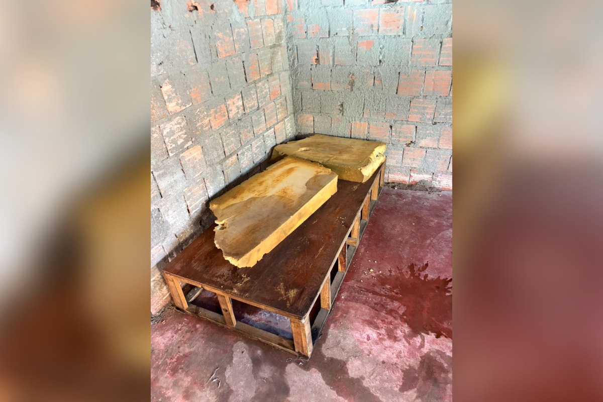 Filhos mantêm mãe dormindo em madeira e local rodeado de fezes