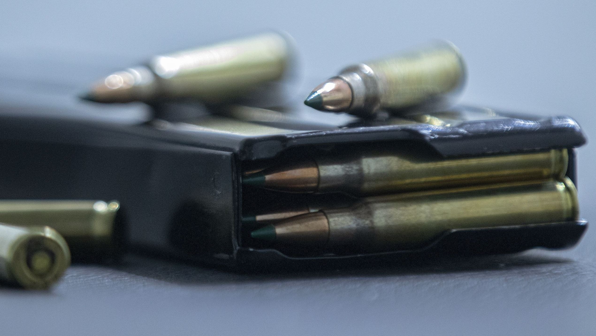 Mais de 20 são presos em megaoperação contra caça ilegal e tráfico de armas