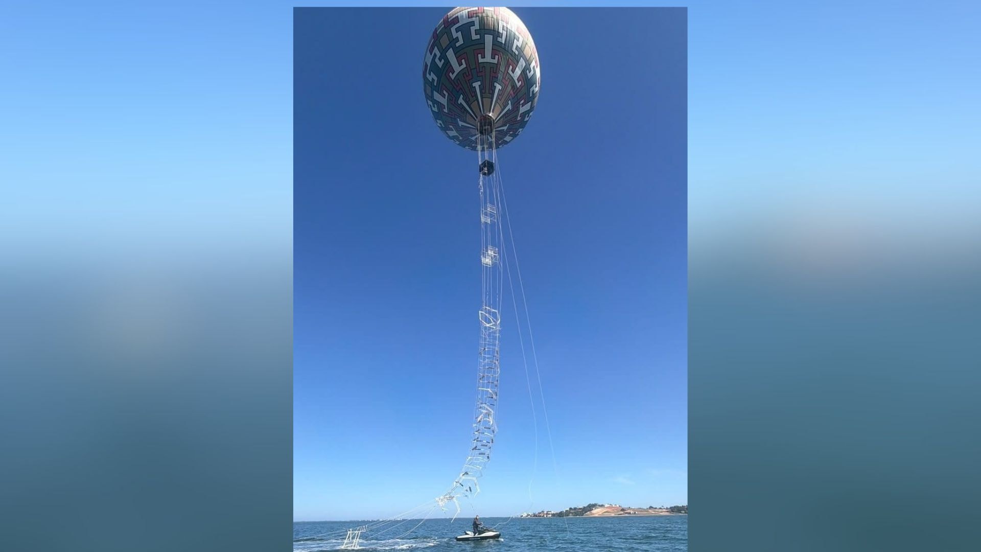 Baleia é encontrada morta na faixa de areia em praia de SP