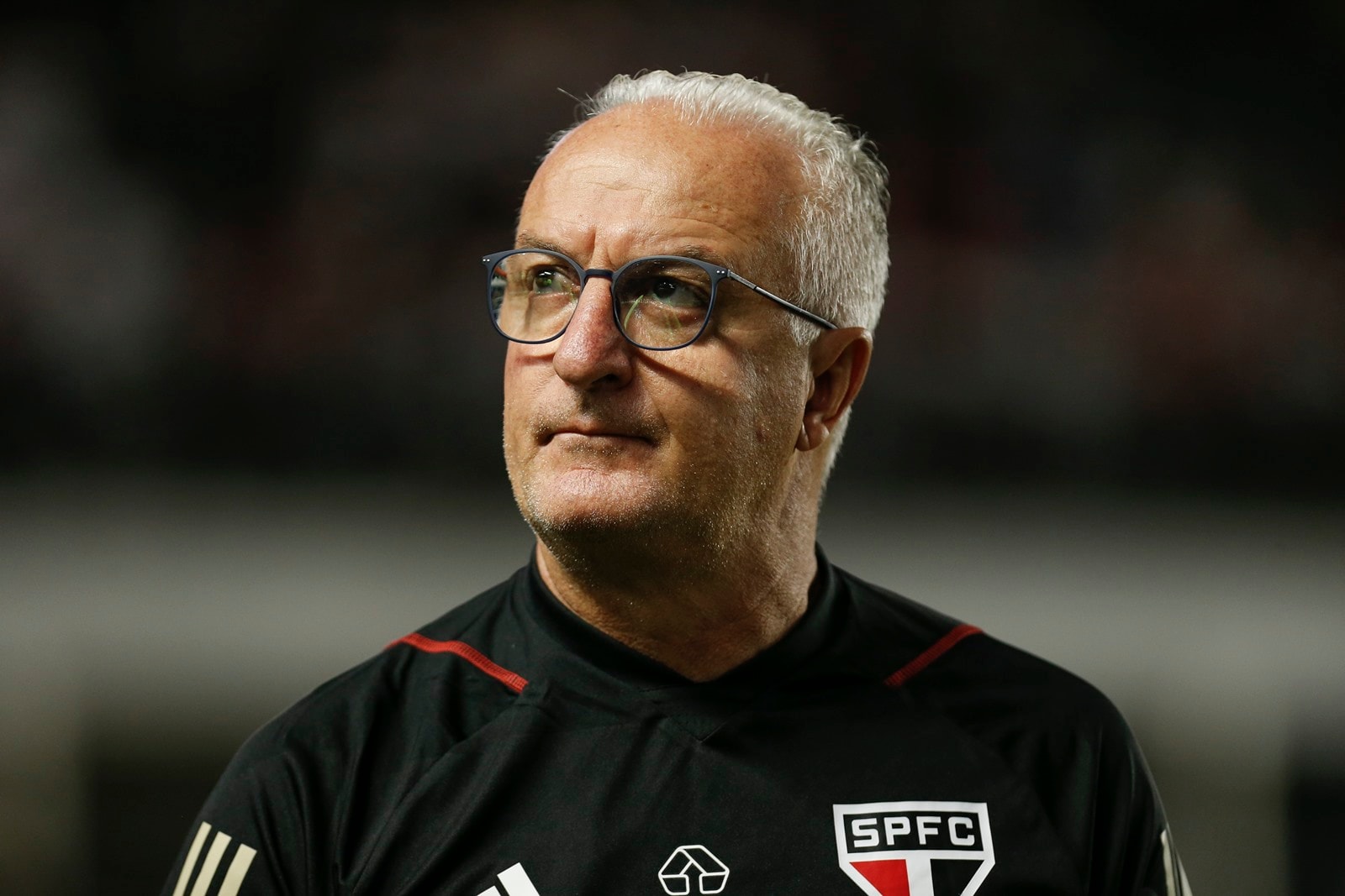 São Paulo anuncia Dorival Júnior após demissão de Roger Machado