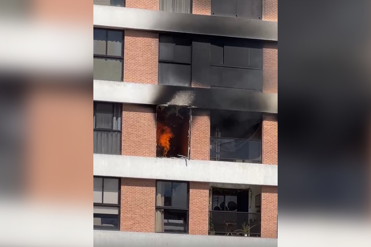 Gato morre após incêndio atingir apartamento em Águas Claras. Veja vídeo