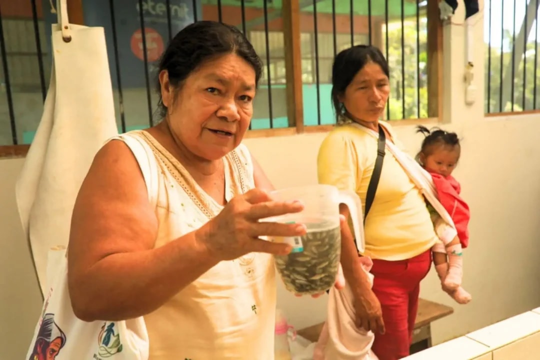 Mulheres Awajún lideram projeto de piscicultura sustentável em Santa María de Nieva