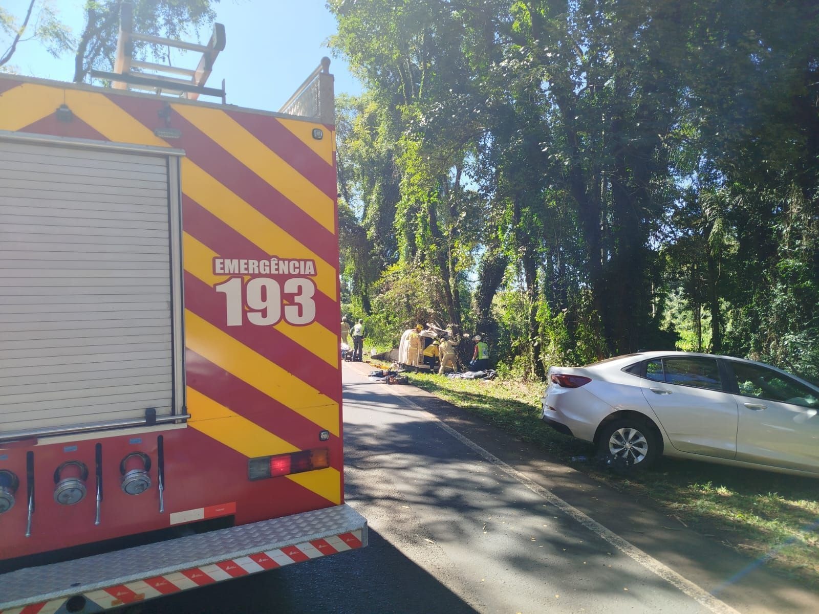 Acidente entre van e caminhão deixa 16 mortos na BR-116, na Bahia
