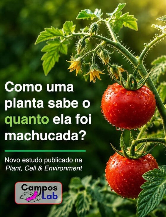 Pesquisadores de Mato Grosso publicam estudo que revela as complexidades da defesa das plantas