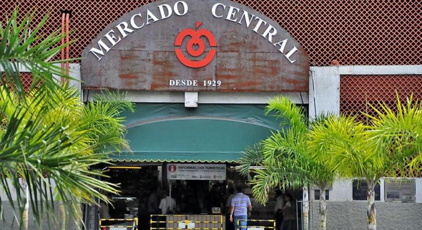 Câmara de BH aprova PL que proíbe venda de animais no Mercado Central