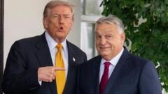 Como Trump tenta influenciar eleições em outros países — e por que seu apoio nem sempre tem o resultado esperado