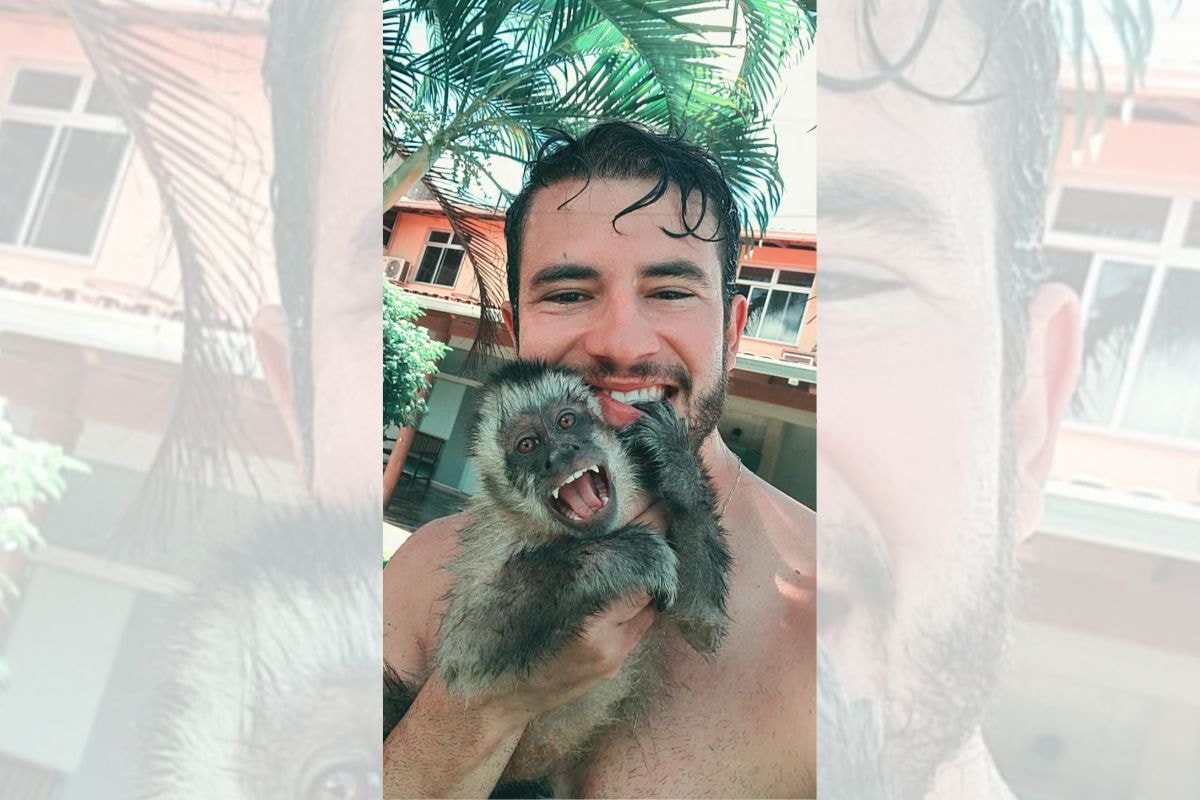 Macaco abraça, faz carinho e dá beijos em filhote de pássaro