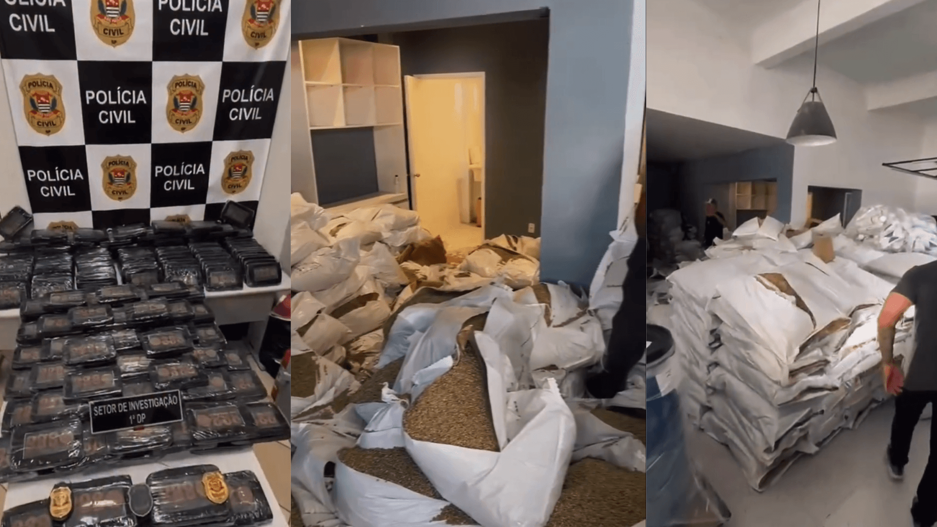 Polícia encontra esconderijo com 231 kg de cocaína sob piso de casa em SC