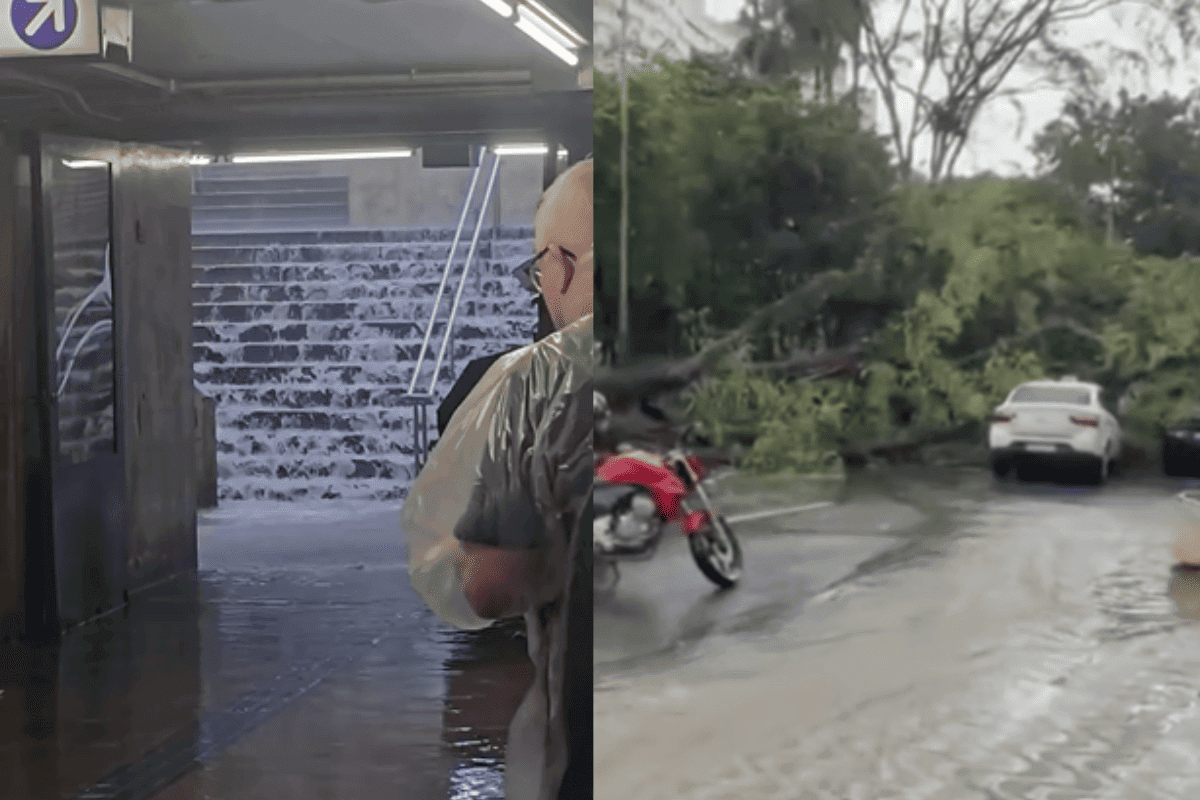 Chuva em SP provoca cachoeira no metrô e queda de árvore sobre carros