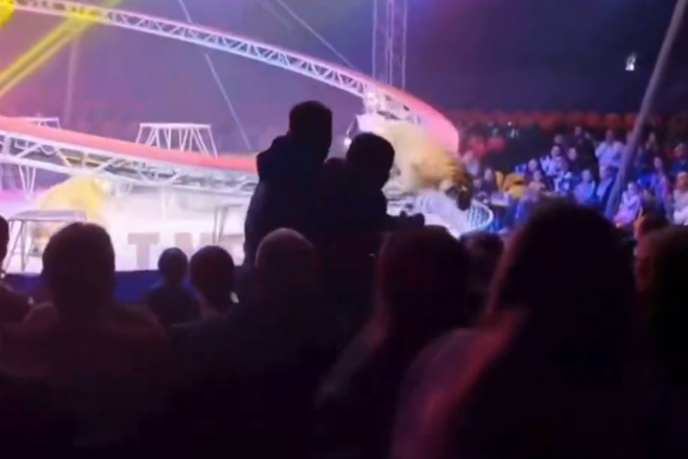 Rússia: tigre avança sobre plateia de circo após rede de proteção cair. Veja vídeo