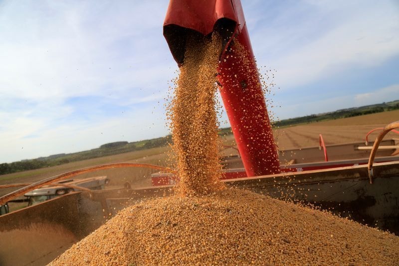 Soja recua em Chicago com atenção ao relatório do USDA e à China