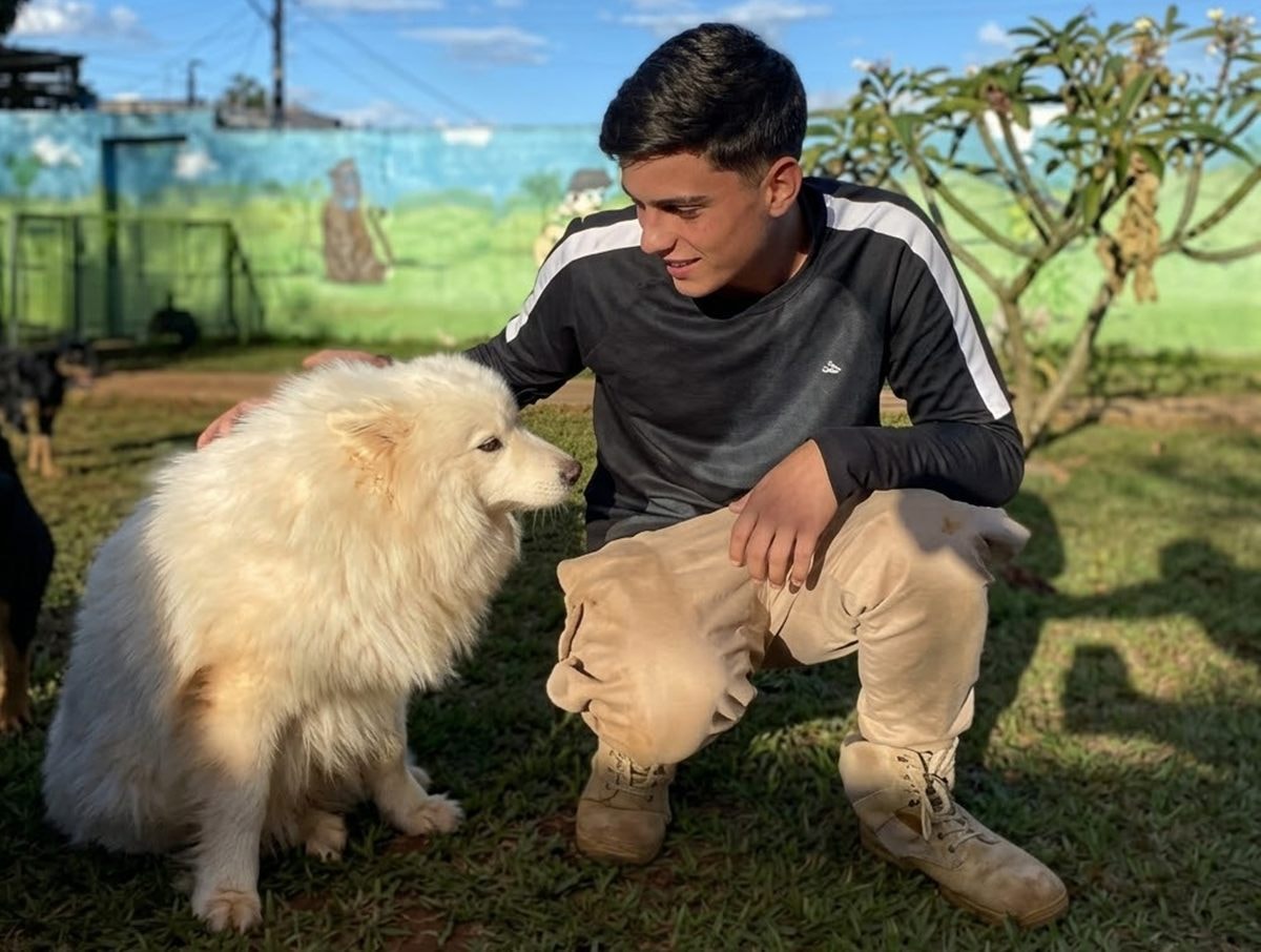 Horror no pet hotel: empresário deixou 6 cães morrerem de fome e sede