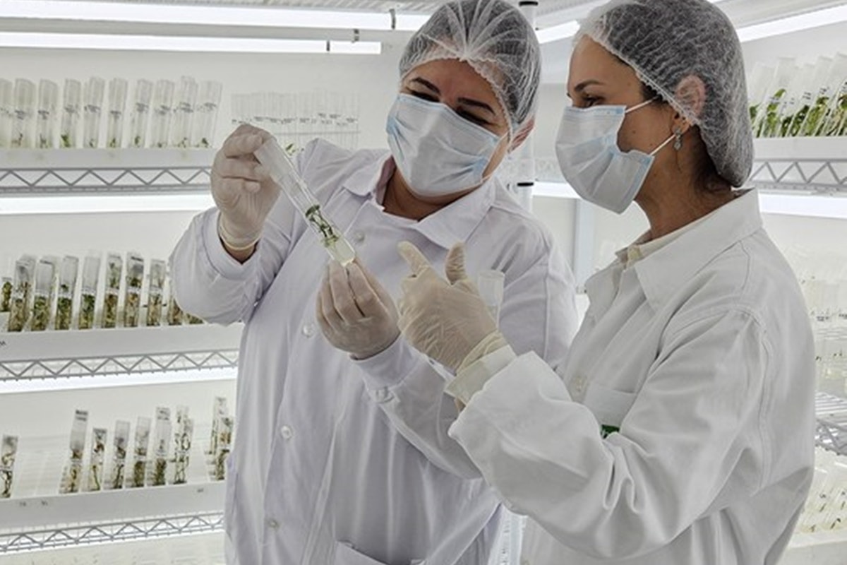 Brasil integra programa Artemis, que deu volta na Lua; entenda