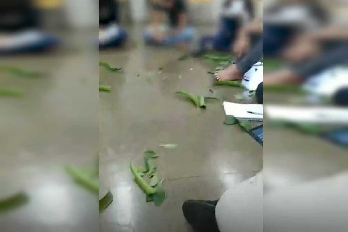 "Magia afro" em aula: TJDFT manda deputado se retratar, mas derruba indenização