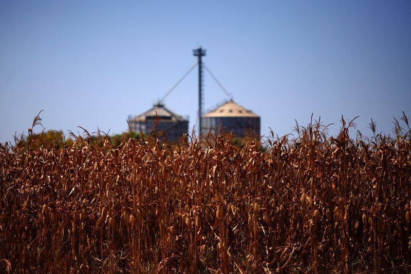 Exportações do agro para países árabes avançam 5% no primeiro semestre