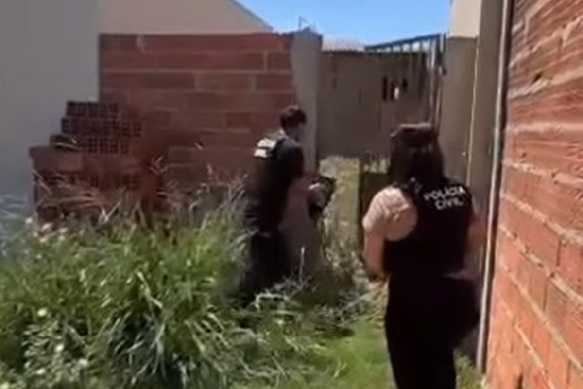 PCGO arromba casa e salva cão vítima de maus-tratos em estado esquelético