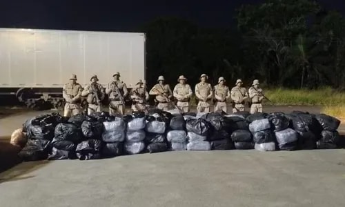 Homem é preso com um tonelada de maconha em caminhão na Bahia