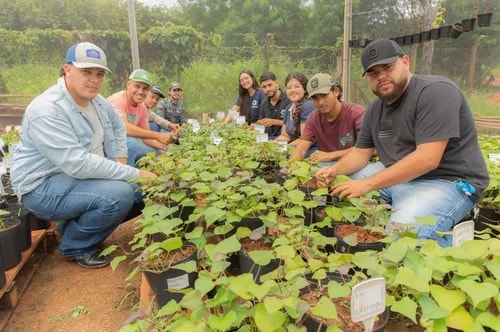 Pronatec abre 240 vagas em cursos gratuitos de 'Vagas Verdes' na Bahia