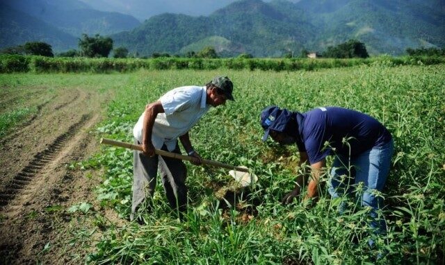 Super El Niño: Coalizão Brasil aponta quatro medidas para preparar agricultura para extremos climáticos