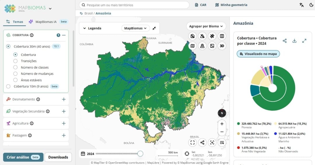 Fragmentação da vegetação nativa cresceu 163% em 38 anos, mostra estudo do MapBiomas