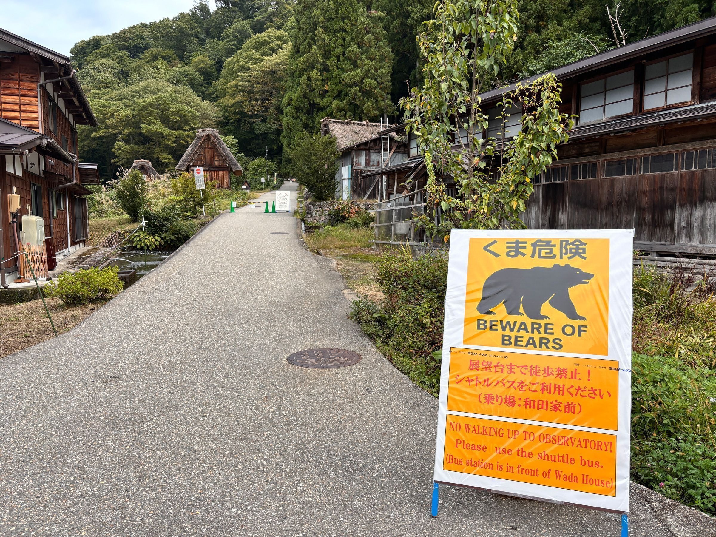 Vídeo: urso persegue e ataca pessoas no Japão deixando quatro feridos
