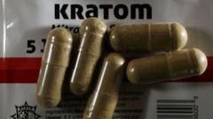 O que é o kratom, a 'heroína dos postos de gasolina' que provoca alarme nas autoridades americanas
