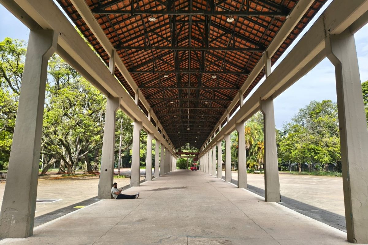 MPSP nega pedido da prefeitura de parar investigação sobre Ibirapuera