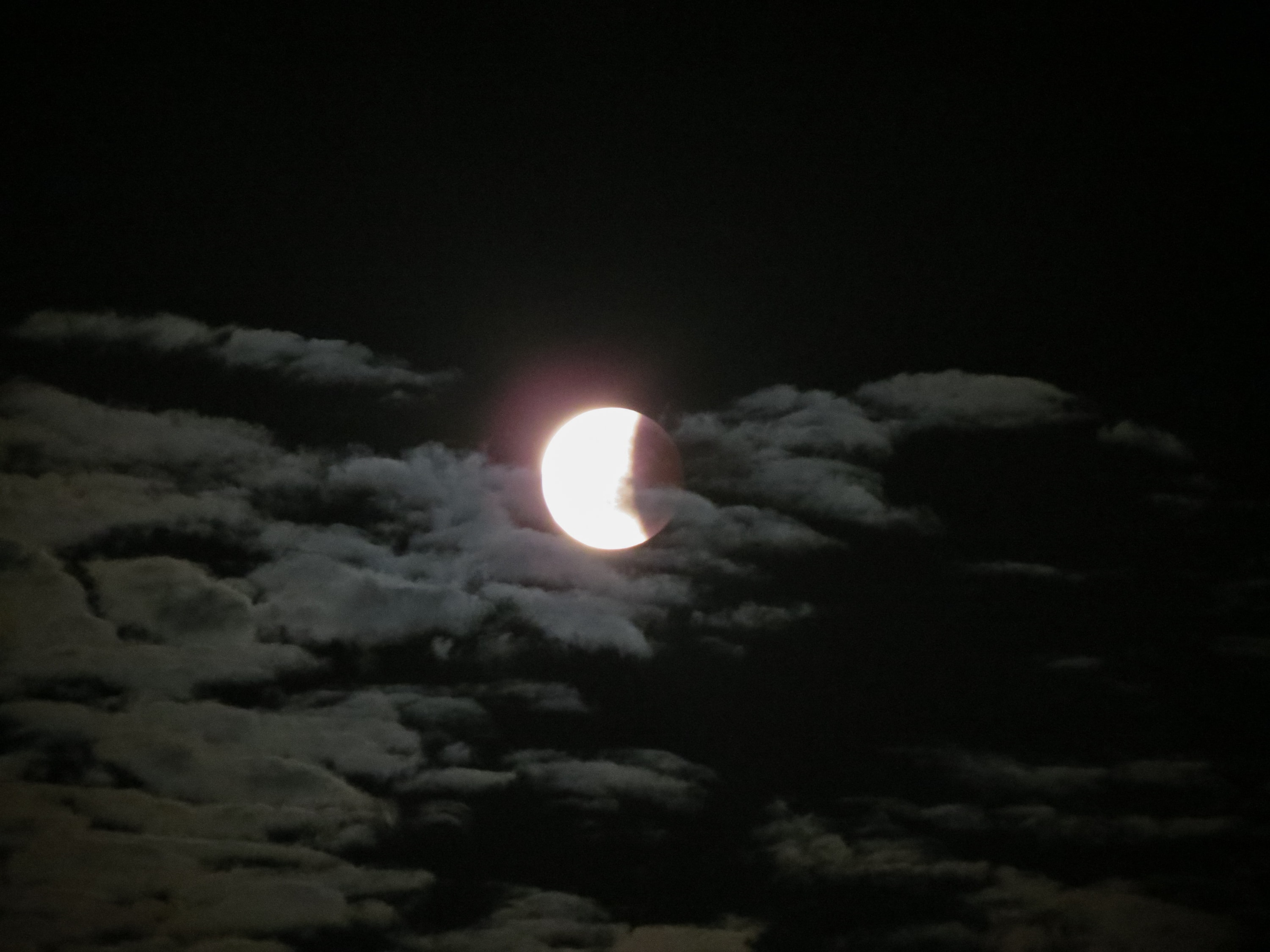 “Não deixe de ver”: eclipse vai encobrir mais de 90% da Lua; como assistir