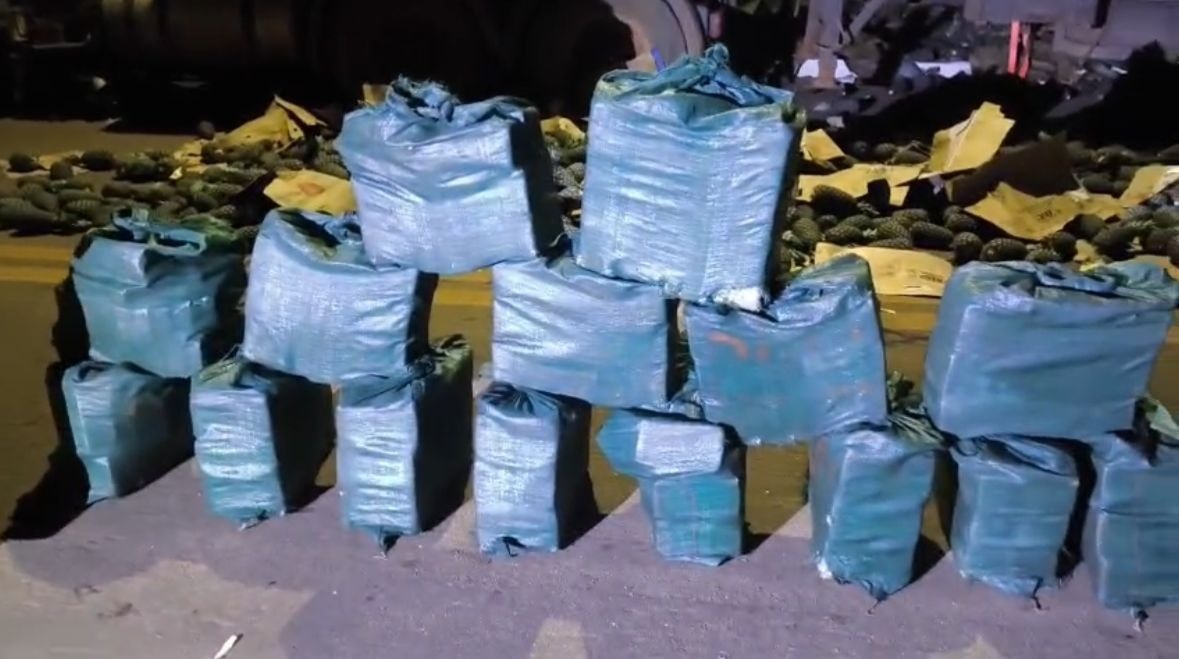 Entenda esquema internacional de tráfico que aplicava cocaína em madeira