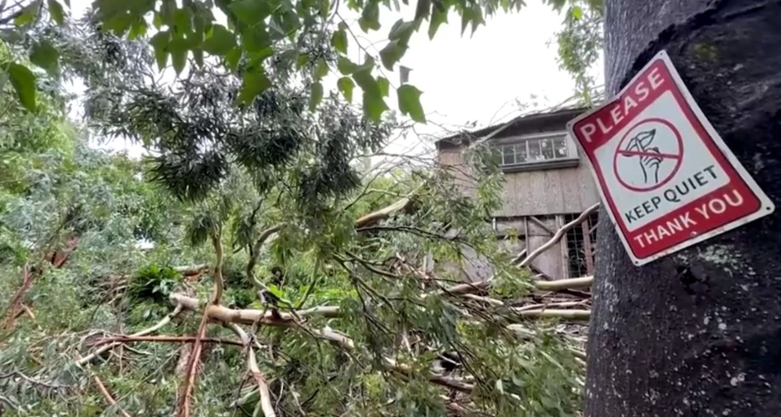Tempestade Tropical Edouard avança rumo ao Texas com risco de inundações