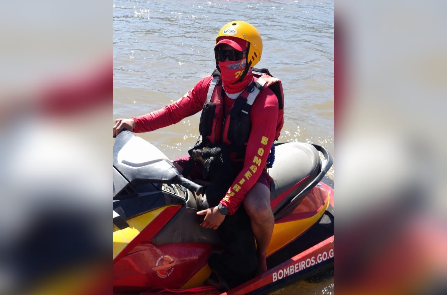 Cãozinho à deriva no Rio Araguaia é resgatado pelos bombeiros