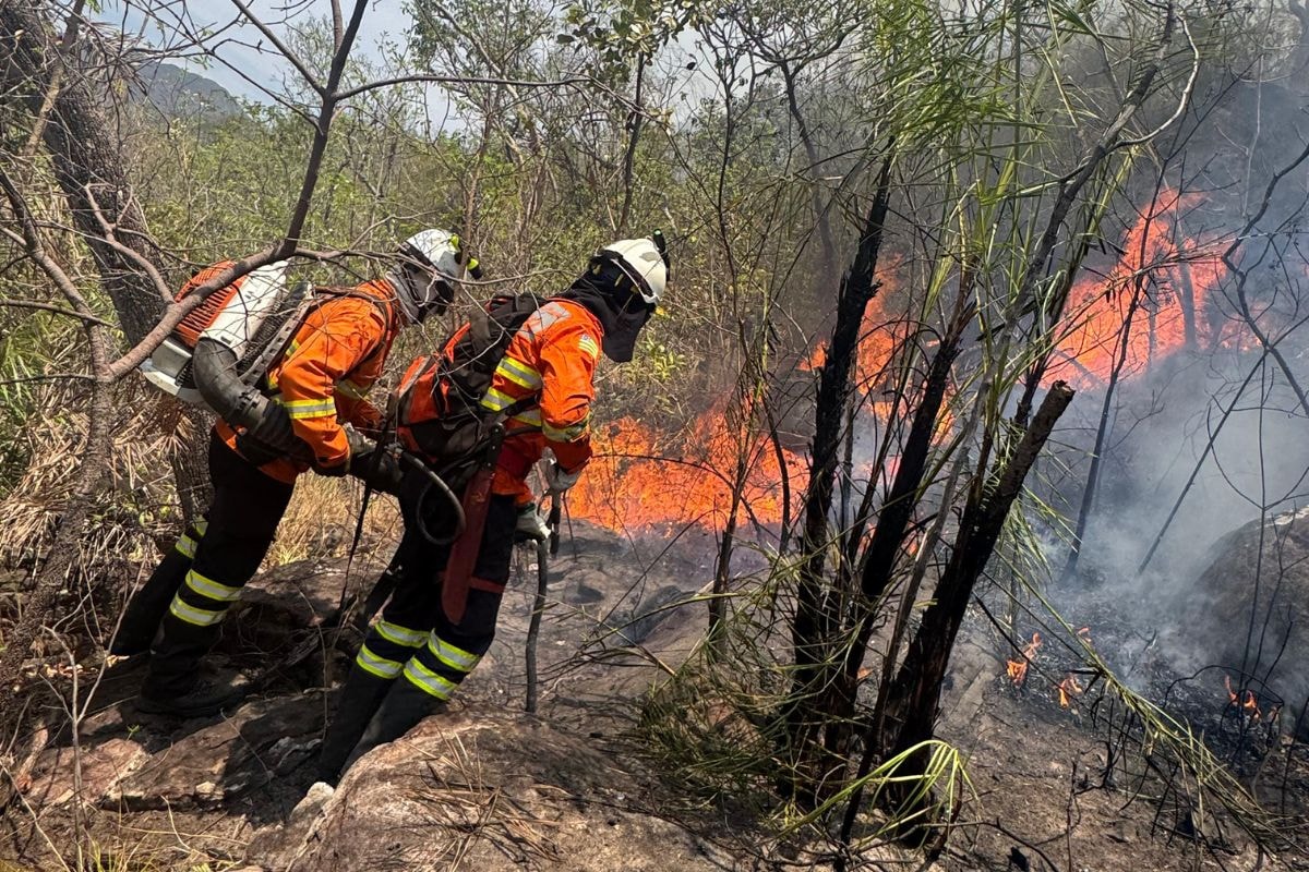 Raio provoca incêndio em área de difícil acesso na Chapada dos Veadeiros