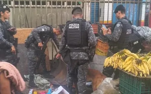 Cão farejador acha drogas em barraca de frutas durante ação na Bahia