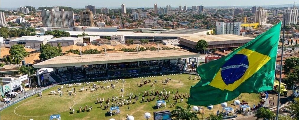 Bahia Farm Show aposta na pecuária e estreia leilão de animais