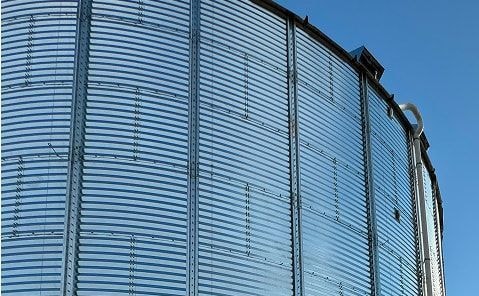Basf anuncia nova estrutura e muda comando da divisão agrícola no Brasil
