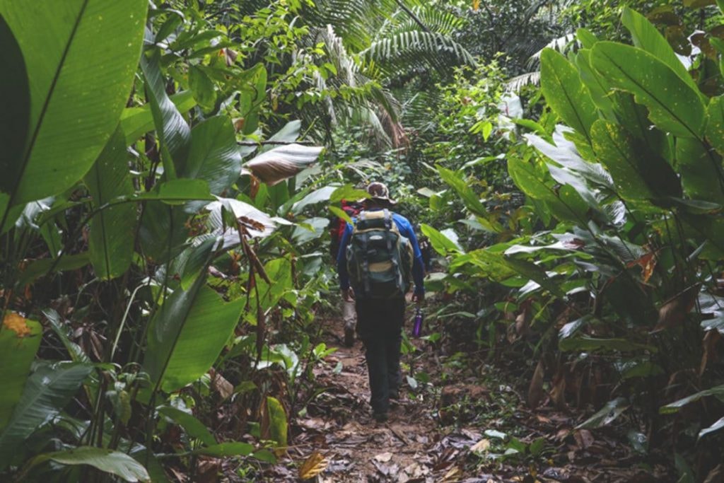 Um Dia no Parque: UCs da Amazônia promovem atividades gratuitas