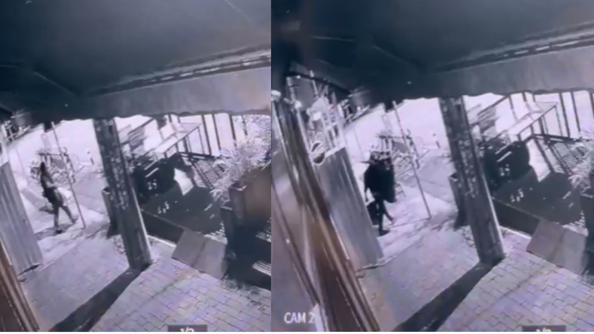Vídeo mostra ação de ladrões dentro de joalheria na Oscar Freire, em SP