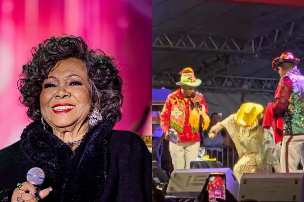 Assista ao momento em que Alcione cai no palco durante show