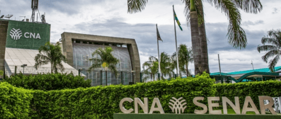 Reino Unido pressiona governo por controle sobre carne brasileira