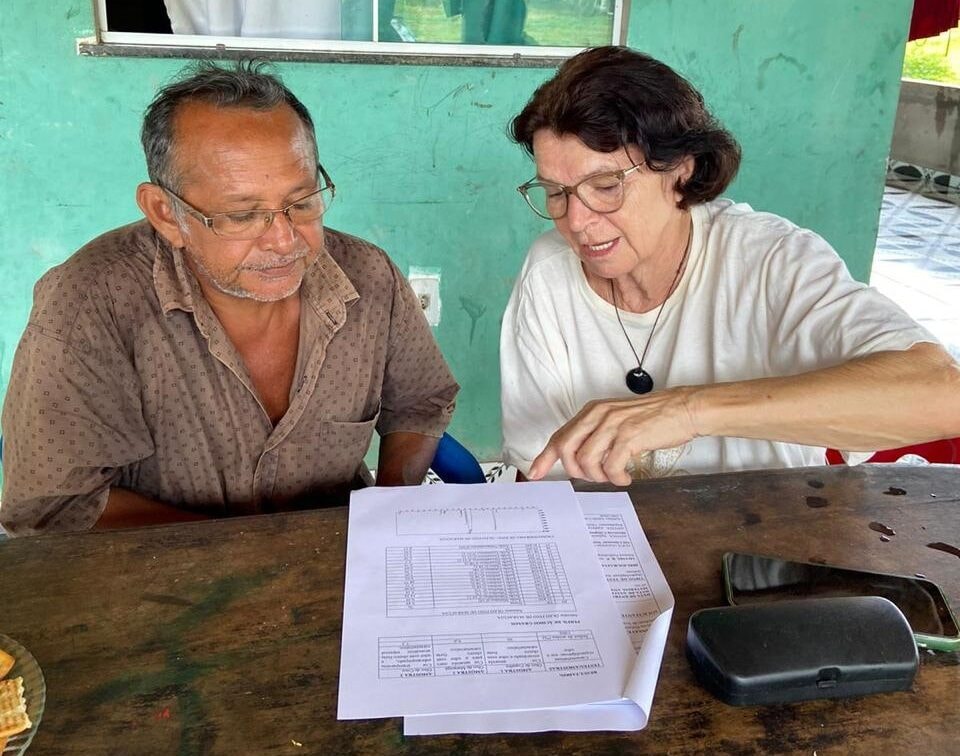 Uso da casca da andiroba é indicado para produção de corantes naturais, mostra pesquisa