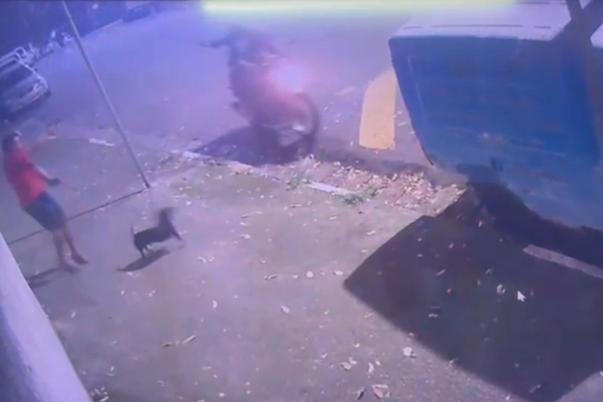 PM que passeava com cachorro é baleado em tentativa de assalto em SP. Veja vídeo