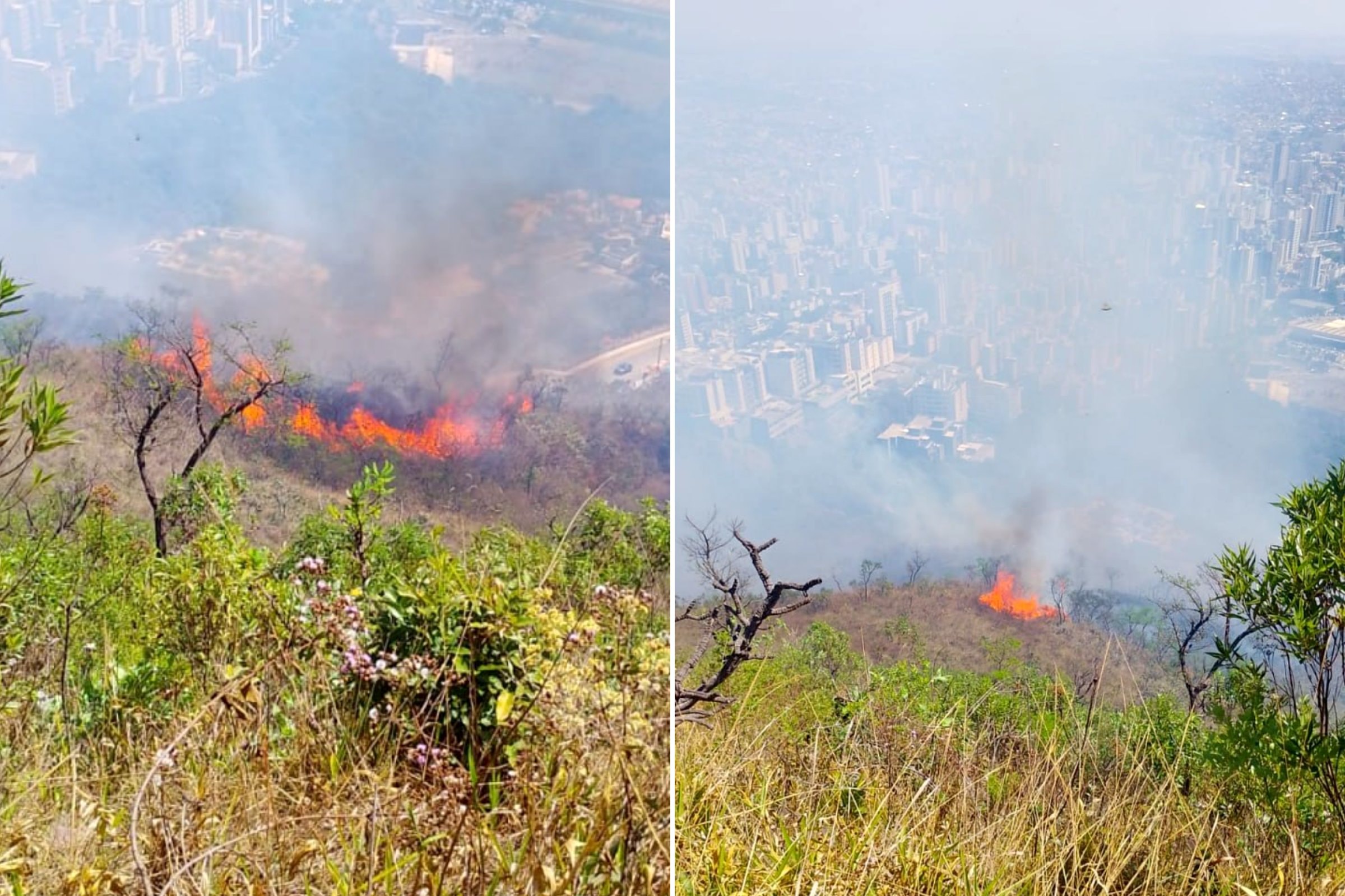Incêndio em área de mata mobiliza bombeiros no Buritis, em BH