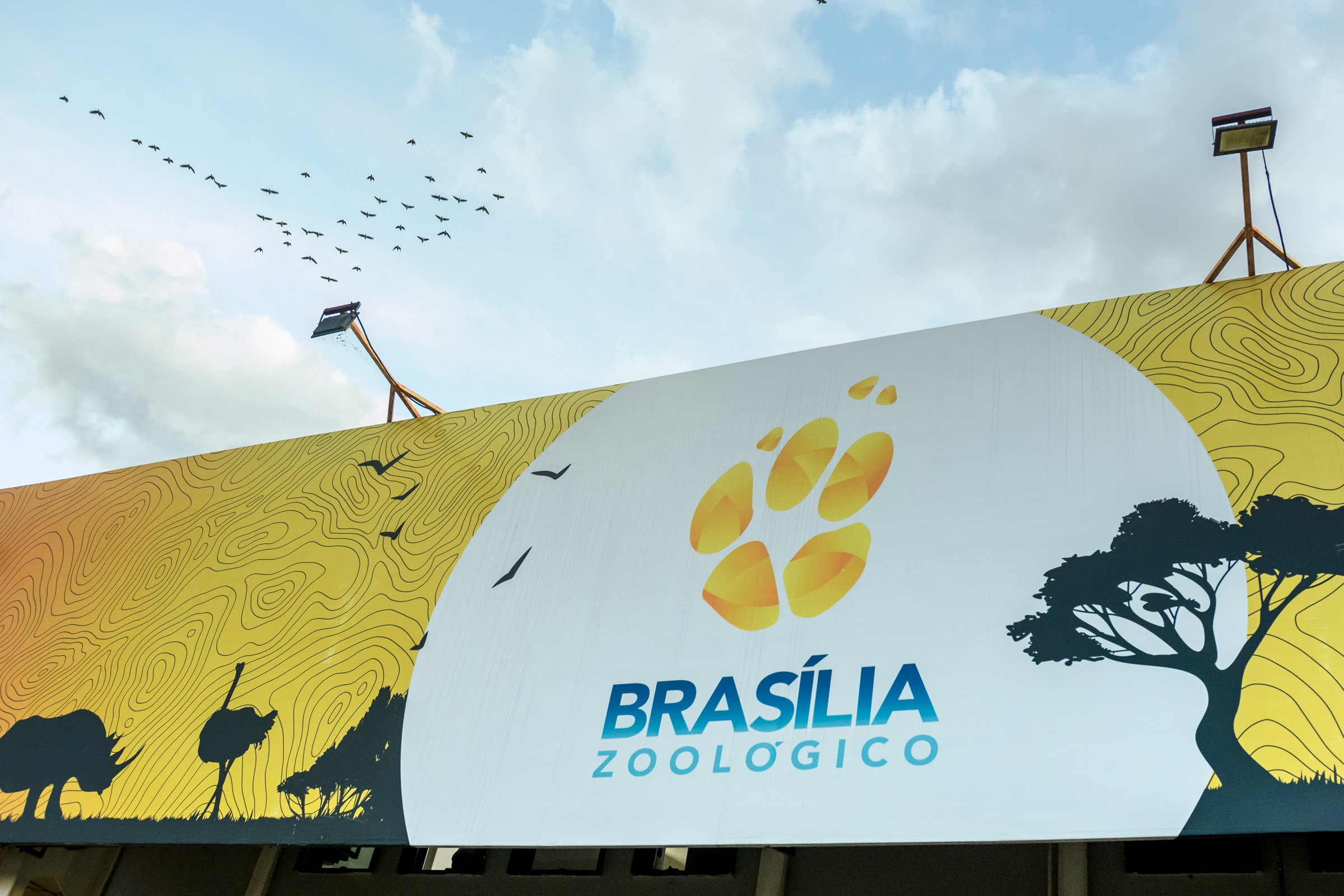 Zoo de Brasília divulga atrações especiais para aniversário da capital