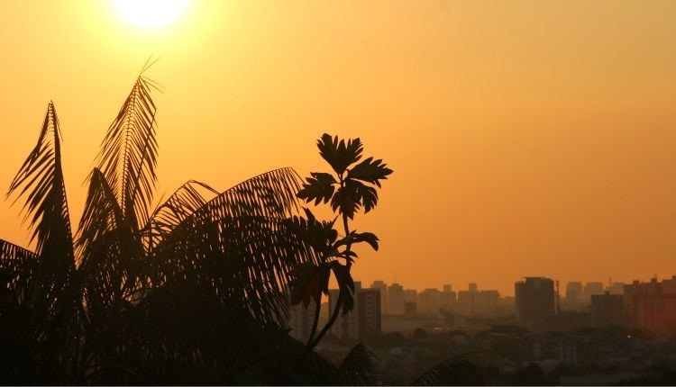 Calor extremo e seca: Amazonas pode enfrentar trimestre com calor extremo e menos chuva