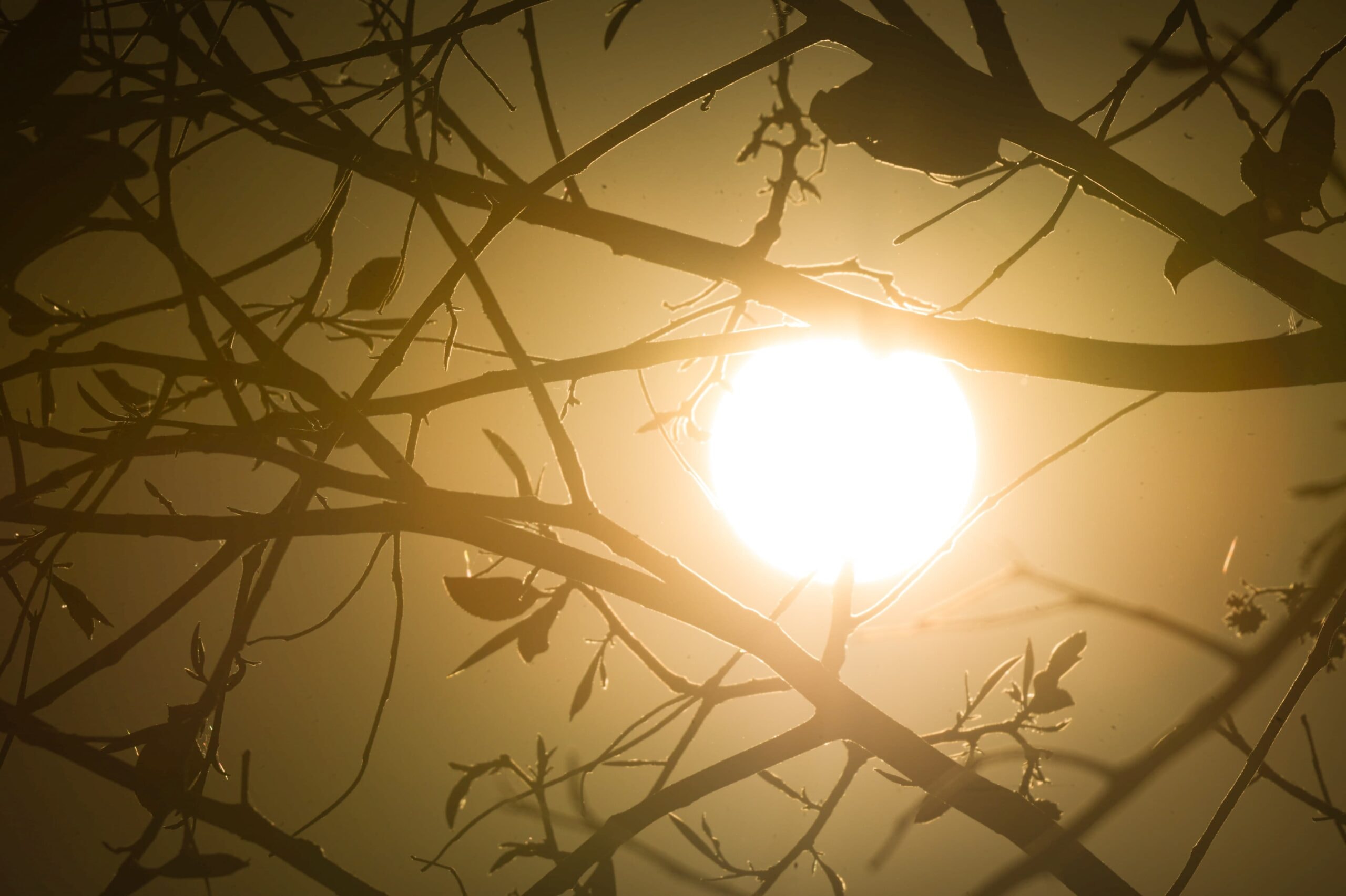 Clima: agosto começa com alertas de tempestades e baixa umidade