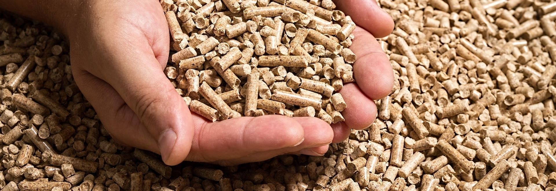Exportações do agro somam US$ 8,1 bilhões em junho, mostra Mdic