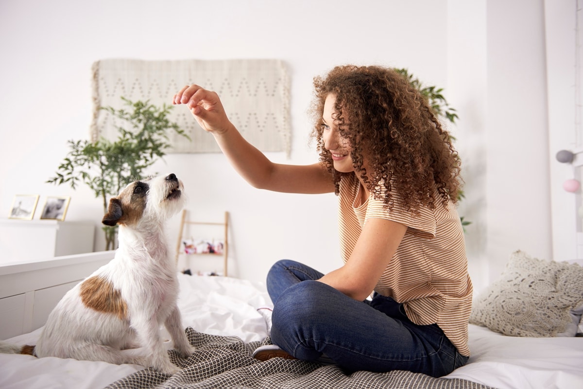 Ração não é tudo igual: saiba escolher a ideal para seu pet